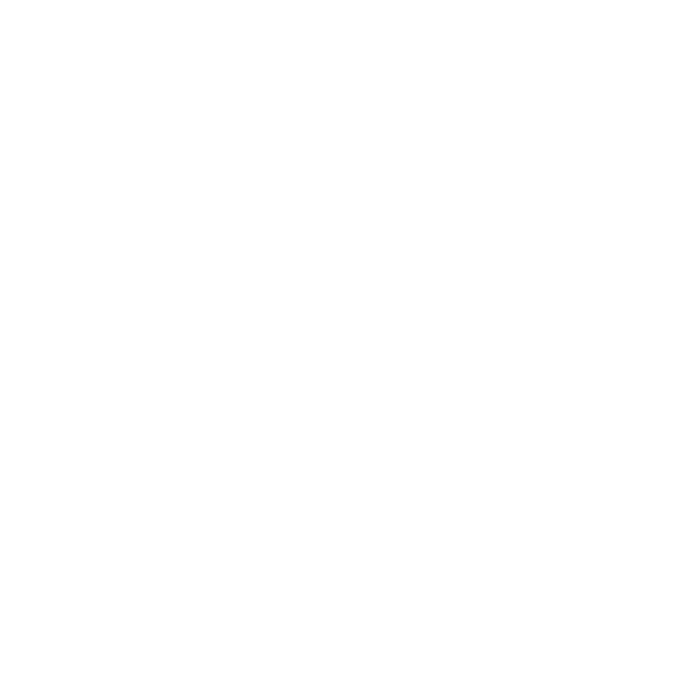 Logo de Birdeep Studio en blanco, fondo transparente, diseño moderno y minimalista.